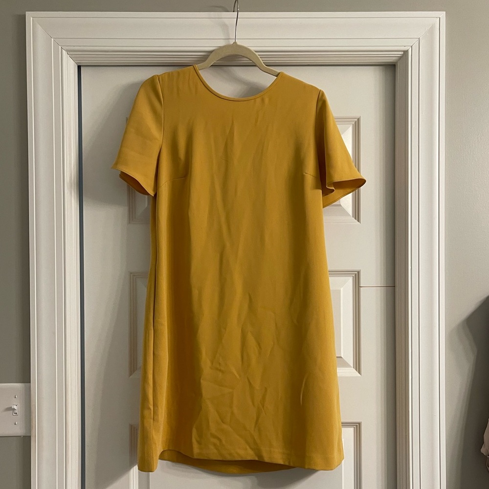 Ann Taylor dress